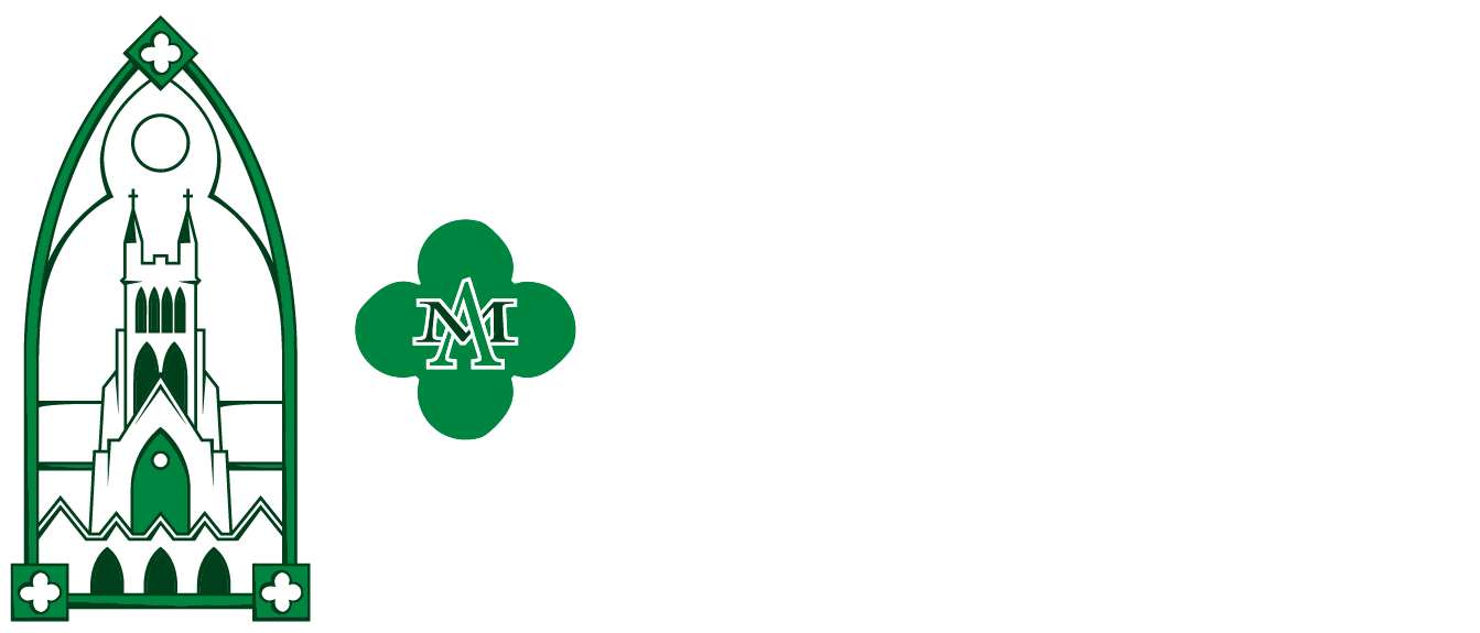 Ireland Program Logo