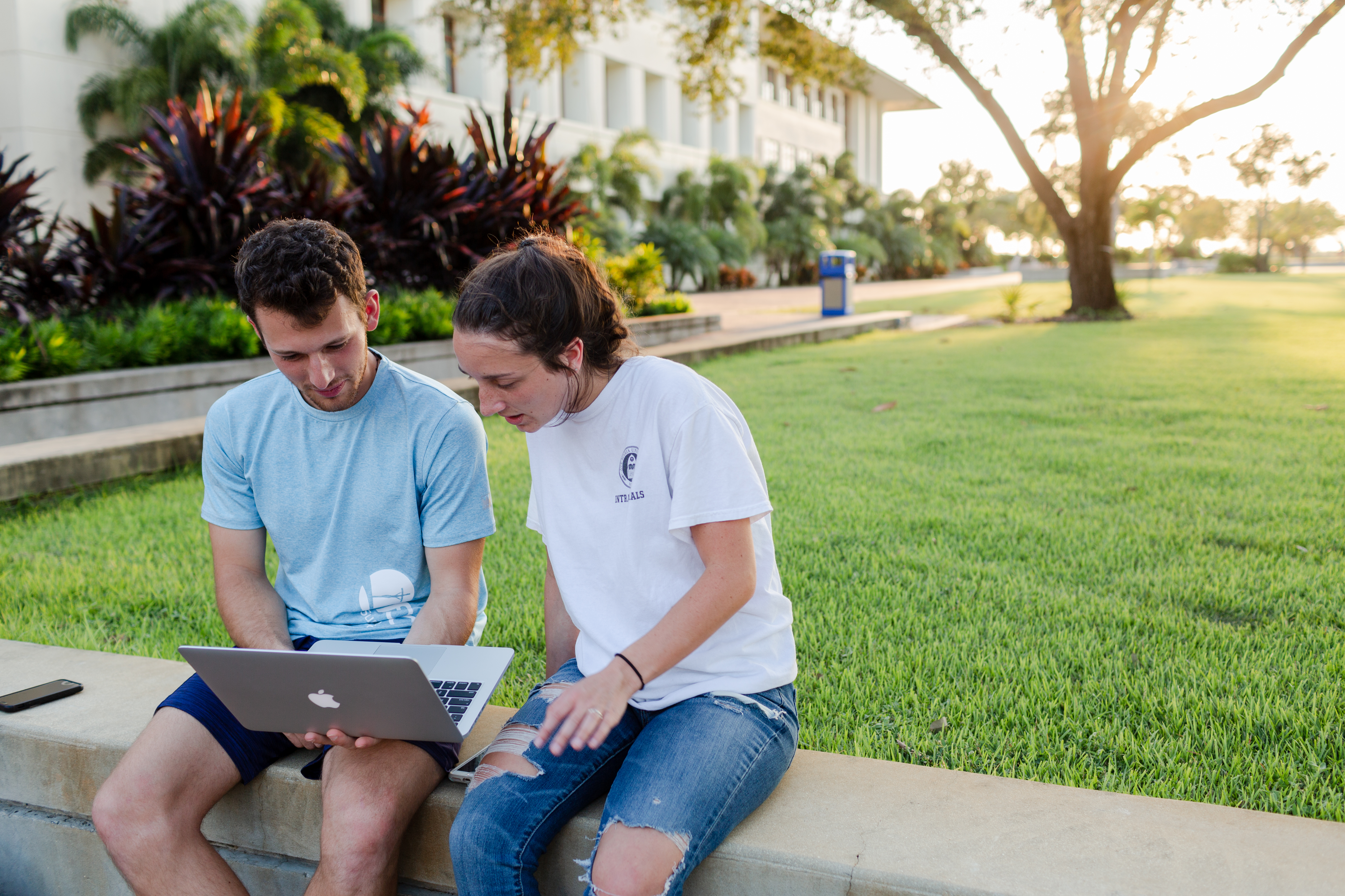 Ave Maria University applicant portal